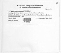 Venturia inaequalis image